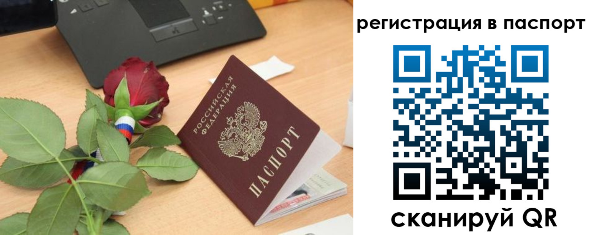 временная регистрация для школы в Кургане